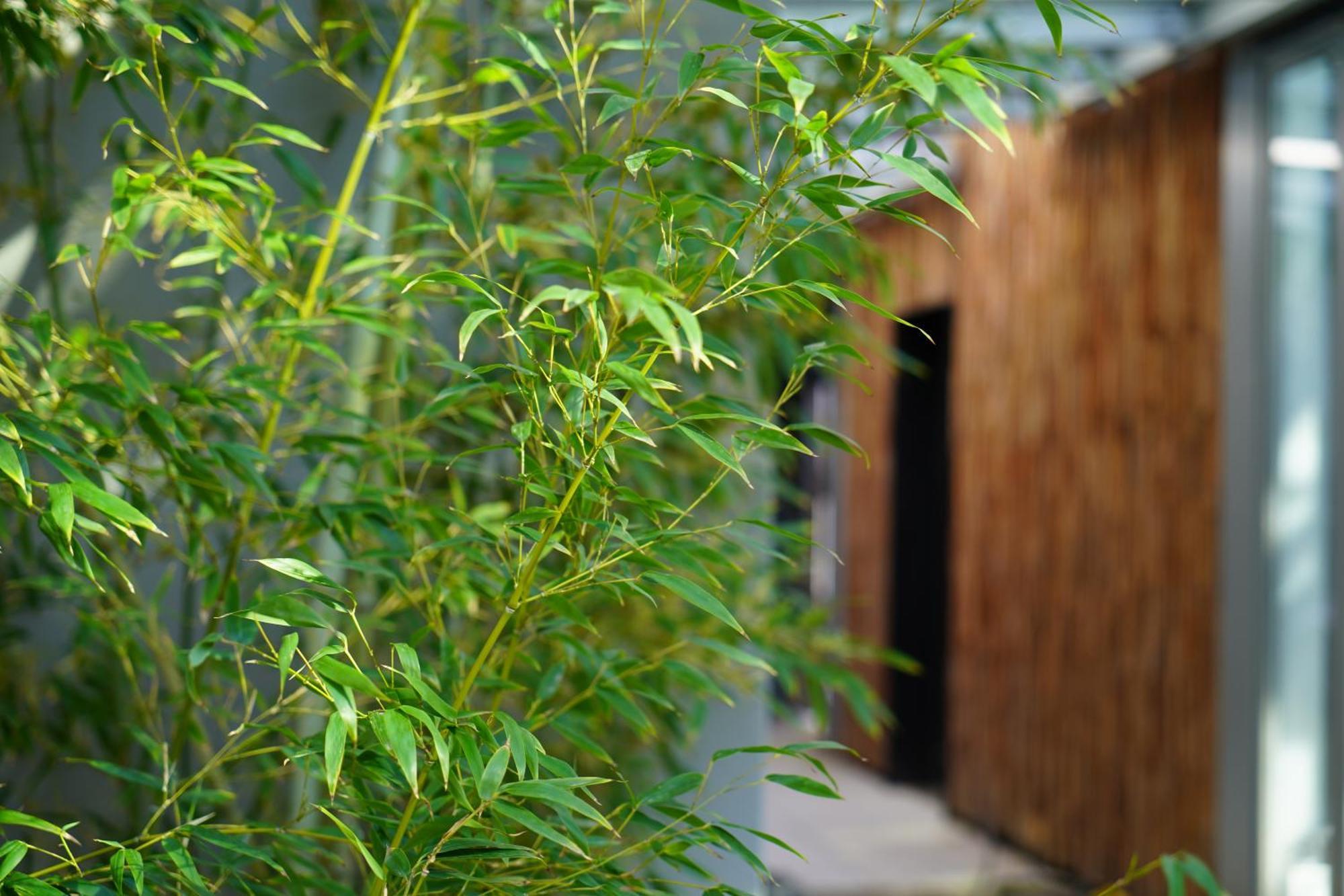 Sly Berlin Hotel Buitenkant foto Bamboo